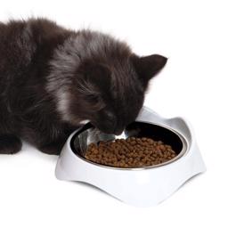Catit Pixi Rostfri & Vit Skål Till Katten